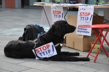 Alle helfen mit, Unterschriften für die sEBI gegen TTIP & Co. zu sammeln.